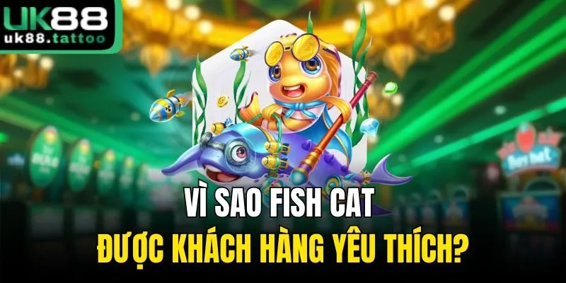 Vì sao Fish Cat được khách hàng yêu thích?